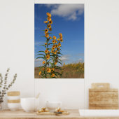 Sonnenblumen in Minnesota Poster (Küche)