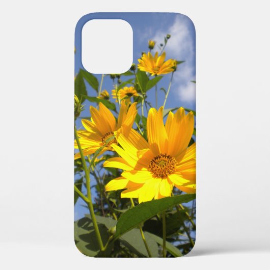 Sonnenblumen in Sky Case-Mate iPhone Hülle (Rückseite)