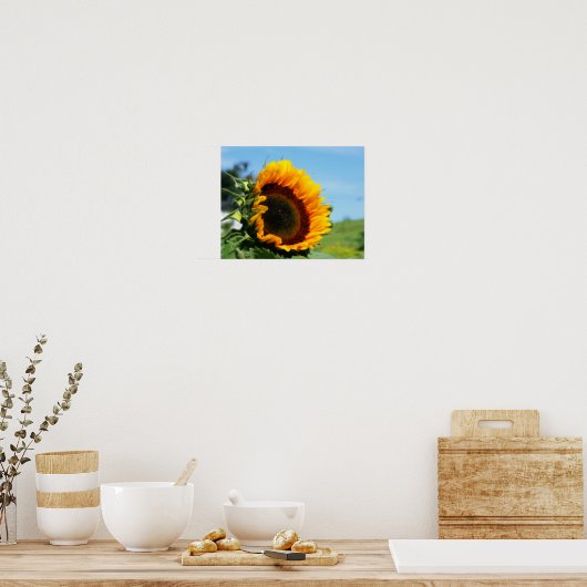 Sonnenblumen in Sunshine Blume Orton Wirkung Poster (Küche)