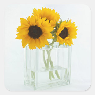 Sonnenblumen in Vase-Aufklebern Quadratischer Aufkleber