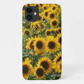 Sonnenblumen iPhone Case (Rückseite)