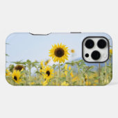 Sonnenblumen iPhone hülle (Rückseite (Horizontal))