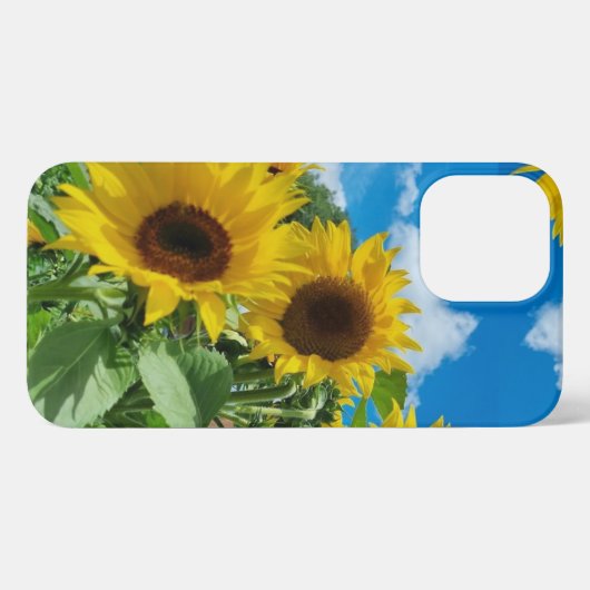 Sonnenblumen iPhone Hülle (Rückseite (Horizontal))