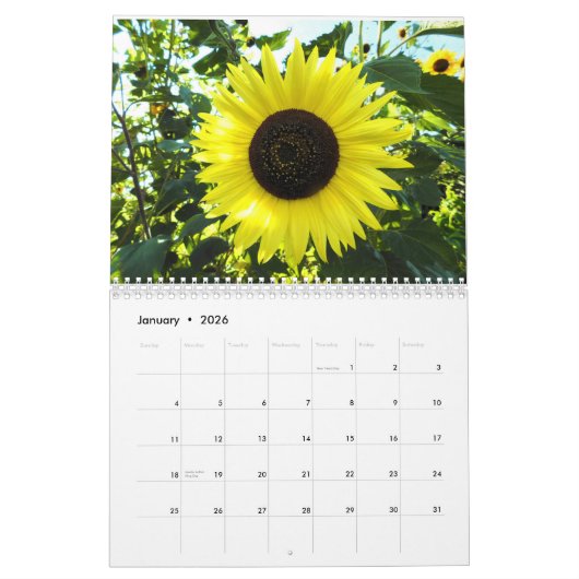 Sonnenblumen Kalender (Jan 2026)