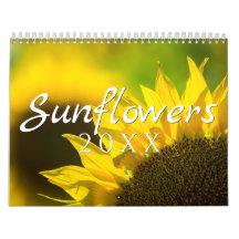 Sonnenblumen-Kalender - 12 Fotosammlung