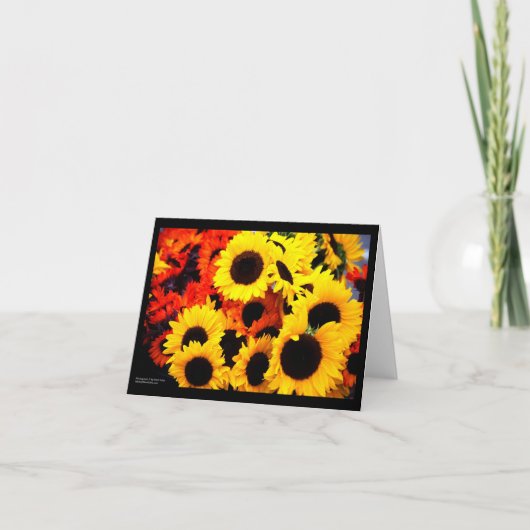 Sonnenblumen Karte (Vorderseite)
