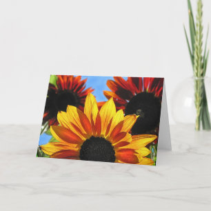 Sonnenblumen Karte