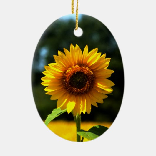 Sonnenblumen Keramik Ornament (Hinten)