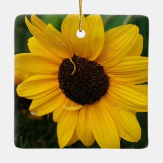 Sonnenblumen Keramikornament (Rückseite)