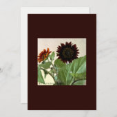 Sonnenblumen kleine Karte für handgeschriebene (Vorne/Hinten)