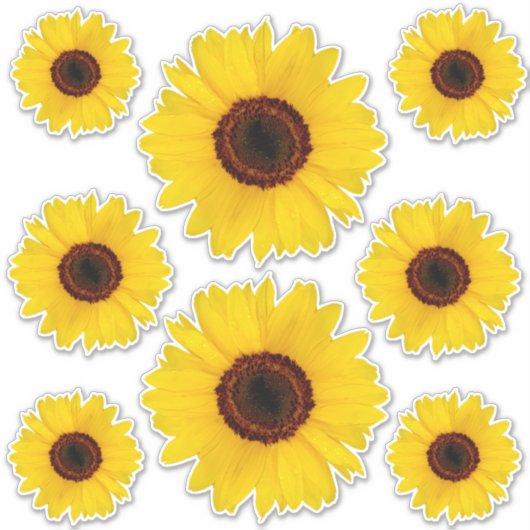 Sonnenblumen Kontursticker-Bonus Aufkleber (Vorderseite)