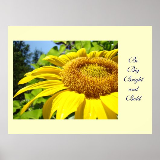Sonnenblumen Kunstdrucke Seien Sie hell und kühl b Poster (Vorne)