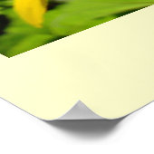 Sonnenblumen Kunstdrucke Seien Sie hell und kühl b Poster (Ecke)