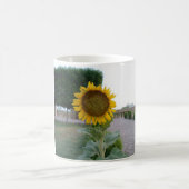 Sonnenblumen Kunstprint Kaffeetasse (Mittel)