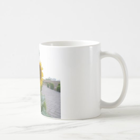 Sonnenblumen Kunstprint Kaffeetasse (Rechts)