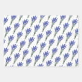 Sonnenblumen, Lavendel-Rose Geschenkpapier Set (Vorderseite 2)