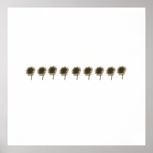 Sonnenblumen, leben, lachen, Liebe Foliendrucke (Vorderseite)