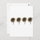 Sonnenblumen, leben, lachen, Liebe Postkarte (Vorne/Hinten)