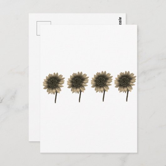 Sonnenblumen, leben, lachen, Liebe Postkarte (Vorne/Hinten)