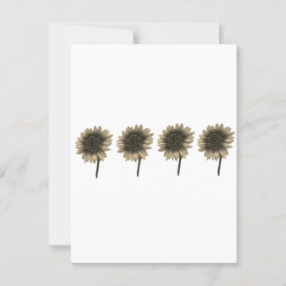 Sonnenblumen, leben, lachen, Liebe Postkarte