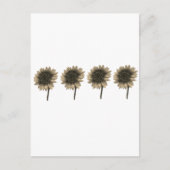 Sonnenblumen, leben, lachen, Liebe Postkarte (Vorderseite)
