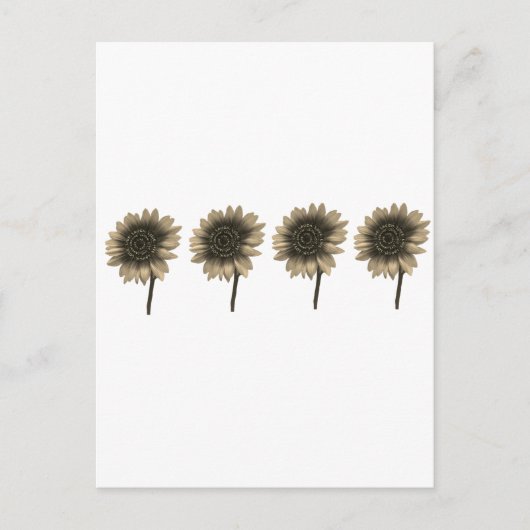 Sonnenblumen, leben, lachen, Liebe Postkarte (Vorderseite)