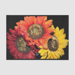 Sonnenblumen Lebhafte Farben, Rot, Orange und Gelb Seidenpapier