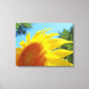 Sonnenblumen Leinwand Art Print Panels Blume