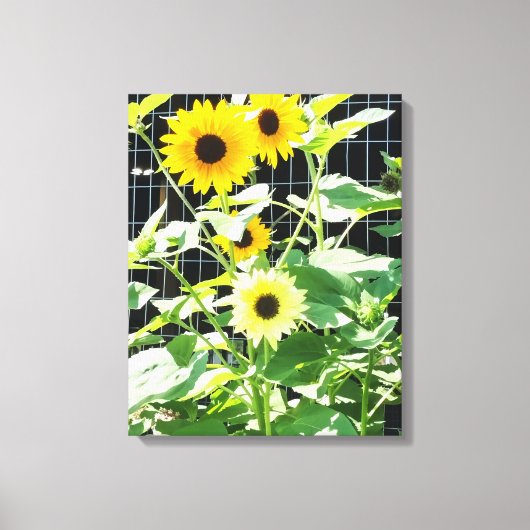 Sonnenblumen Leinwanddruck (Vorderseite)