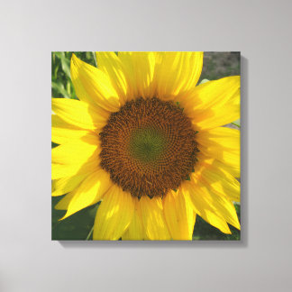 Sonnenblumen-Leinwanddruck gespannt Leinwanddruck