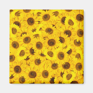 Sonnenblumen Magnet