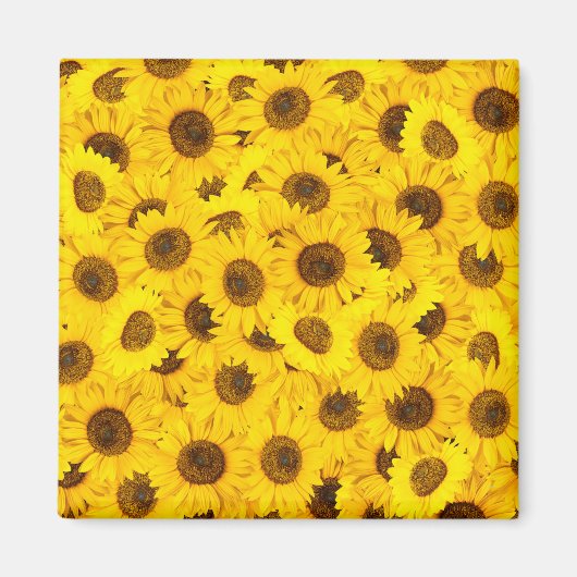 Sonnenblumen Magnet (Vorne)