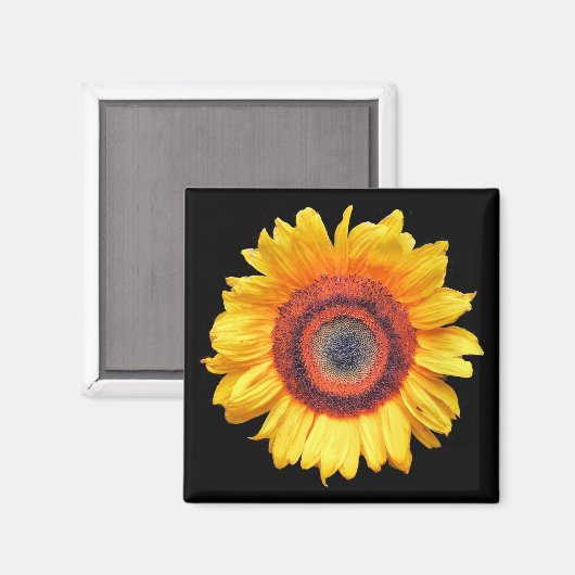 SONNENBLUMEN MAGNET (Vorderseite/Rückseite)