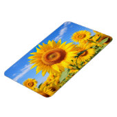 Sonnenblumen Magnet (Linke Seite)