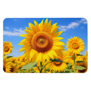 Sonnenblumen Magnet