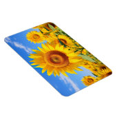 Sonnenblumen Magnet (Rechte Seite)