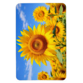Sonnenblumen Magnet (Vertikal)