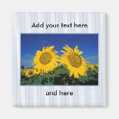 Sonnenblumen Magnet (Vorne)