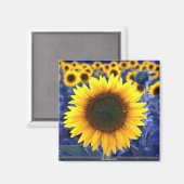 Sonnenblumen Magnet (Vorderseite/Rückseite)