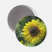 Sonnenblumen Magnet (Vorderseite/Rückseite)