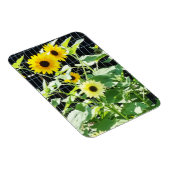 Sonnenblumen Magnet (Rechte Seite)