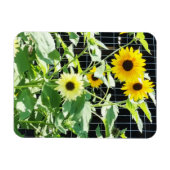 Sonnenblumen Magnet (Horizontal)