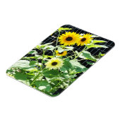 Sonnenblumen Magnet (Linke Seite)