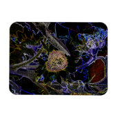 SONNENBLUMEN MAGNET (Horizontal)