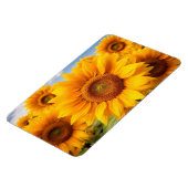 Sonnenblumen Magnet (Linke Seite)