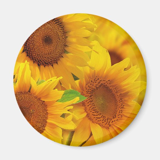 Sonnenblumen Magnet (Vorne)