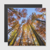 Sonnenblumen Magnetkarte (Vorne/Hinten)