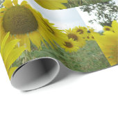 Sonnenblumen Matte Wrapping Paper Geschenkpapier (Rolleneckpunkt)