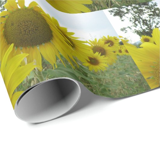 Sonnenblumen Matte Wrapping Paper Geschenkpapier (Rolleneckpunkt)