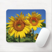 Sonnenblumen, Mausunterlage Mousepad (Mit Mouse)